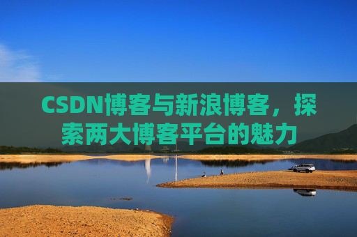CSDN博客与新浪博客,探索两大博客平台的魅力